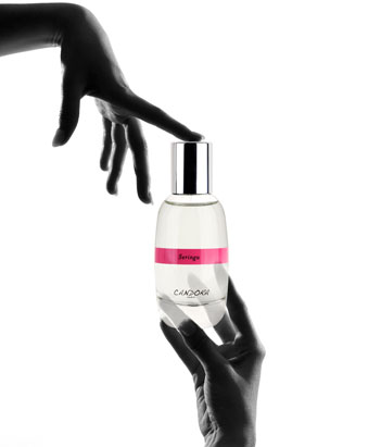 Parfums-candora-paris-creation-concept