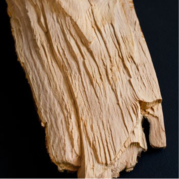 perfums-cedar perfums-cedar