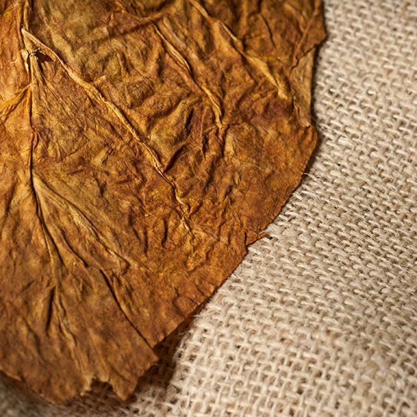 perfums-tobacco-leaf