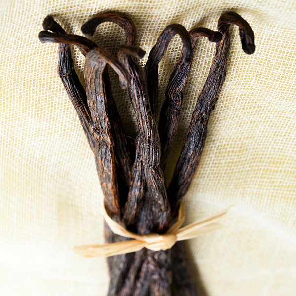 perfums-vanilla perfums-vanilla